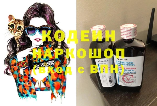 СК Горнозаводск