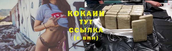ПСИЛОЦИБИНОВЫЕ ГРИБЫ Горно-Алтайск