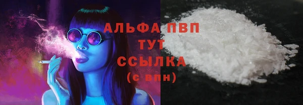 ПСИЛОЦИБИНОВЫЕ ГРИБЫ Вязьма