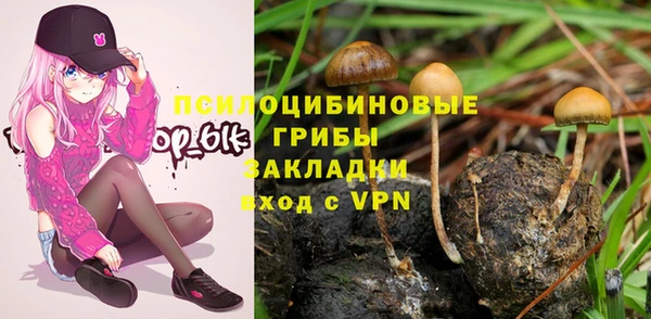 ПСИЛОЦИБИНОВЫЕ ГРИБЫ Вязьма