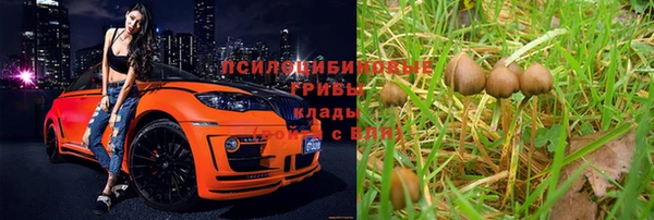 кокаин перу Вяземский