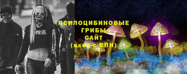 ПСИЛОЦИБИНОВЫЕ ГРИБЫ Горно-Алтайск
